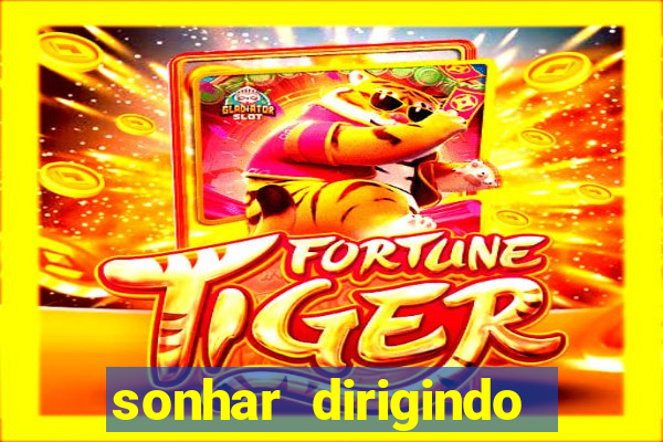 sonhar dirigindo carro jogo do bicho